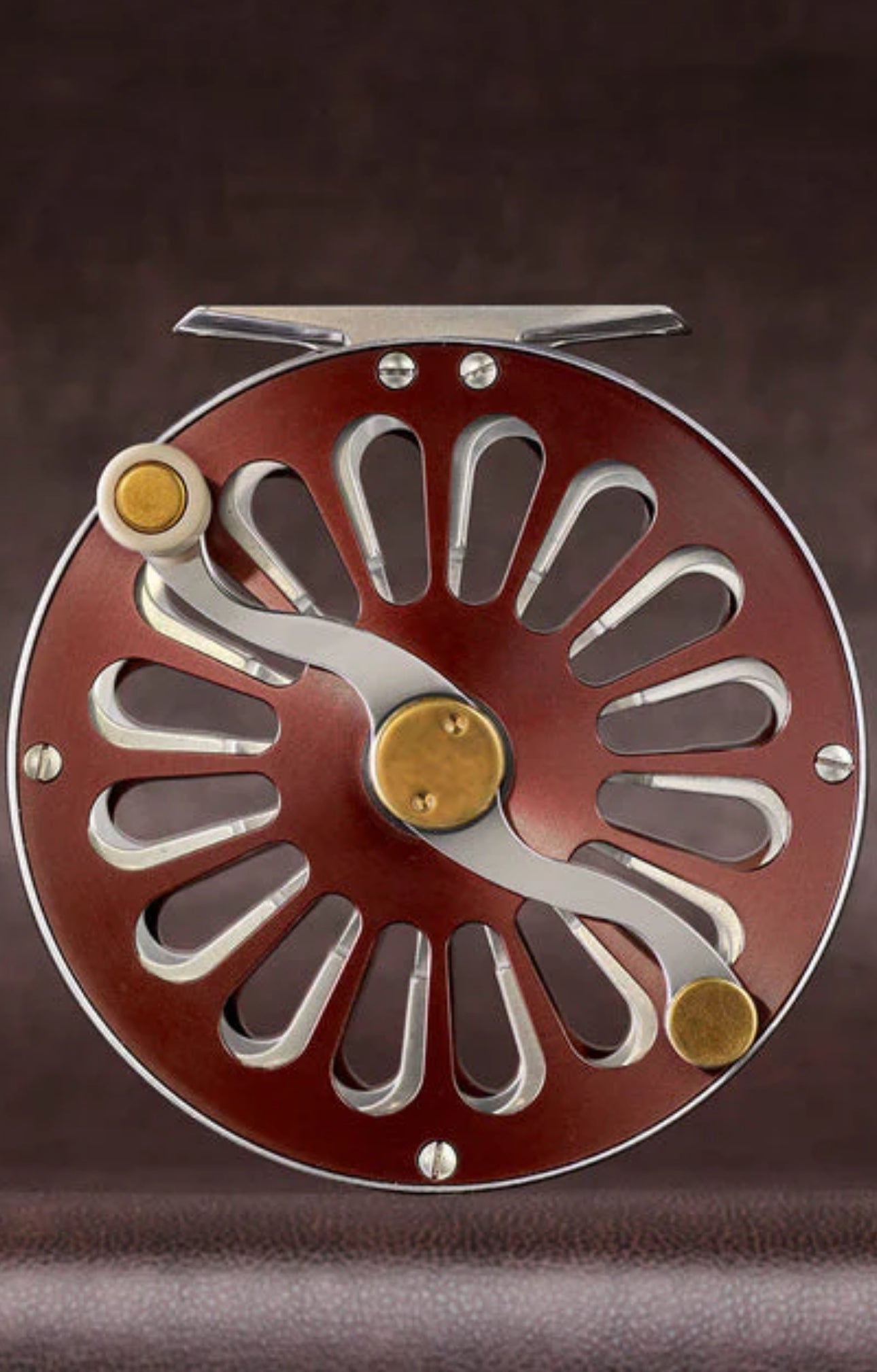 SALAR Reel