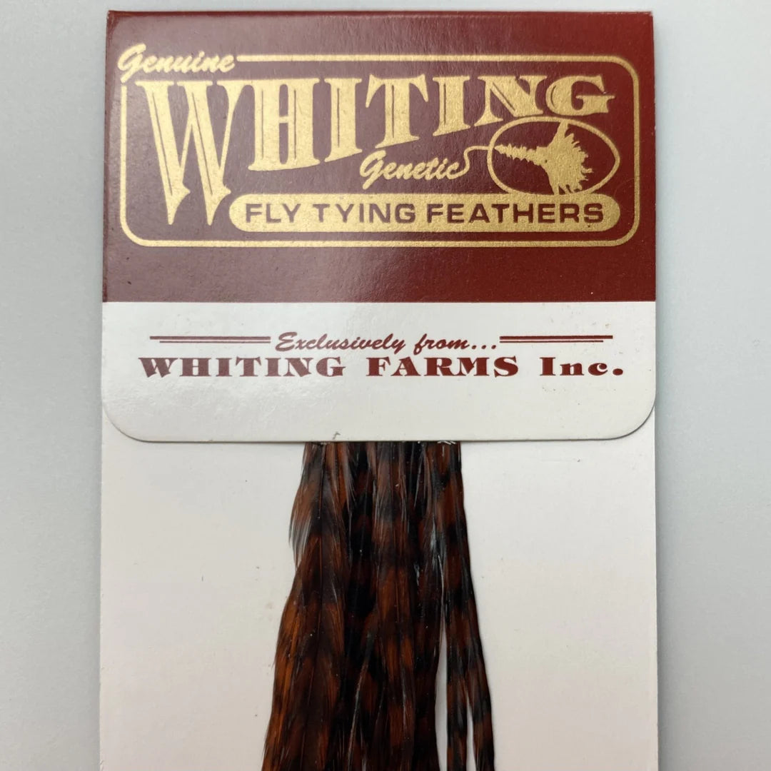 Whiting Farms 100 Pack Saddle Hackle