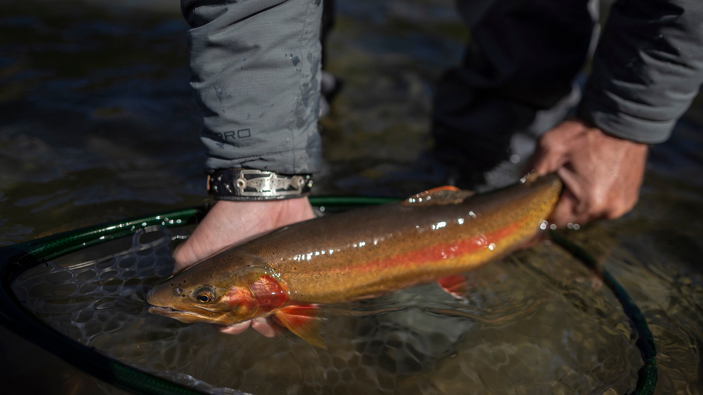 Marlin Fishing Tumbler - Wind River Outpost