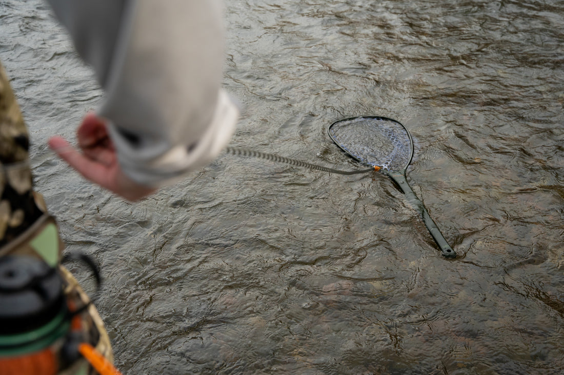 Fishpond Confluence Net Release