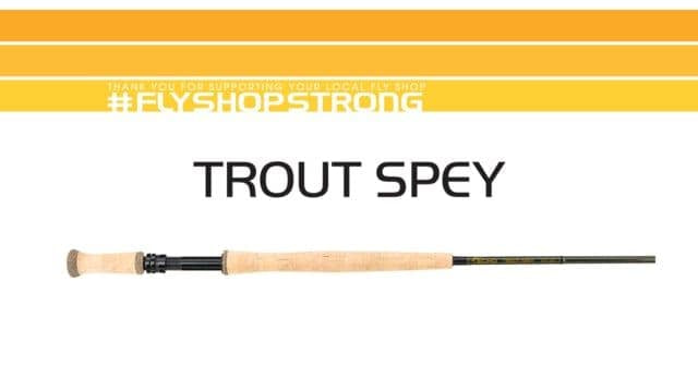 Echo Trout Spey Fly Rod