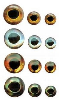 3D Molded Shimmer Eyes