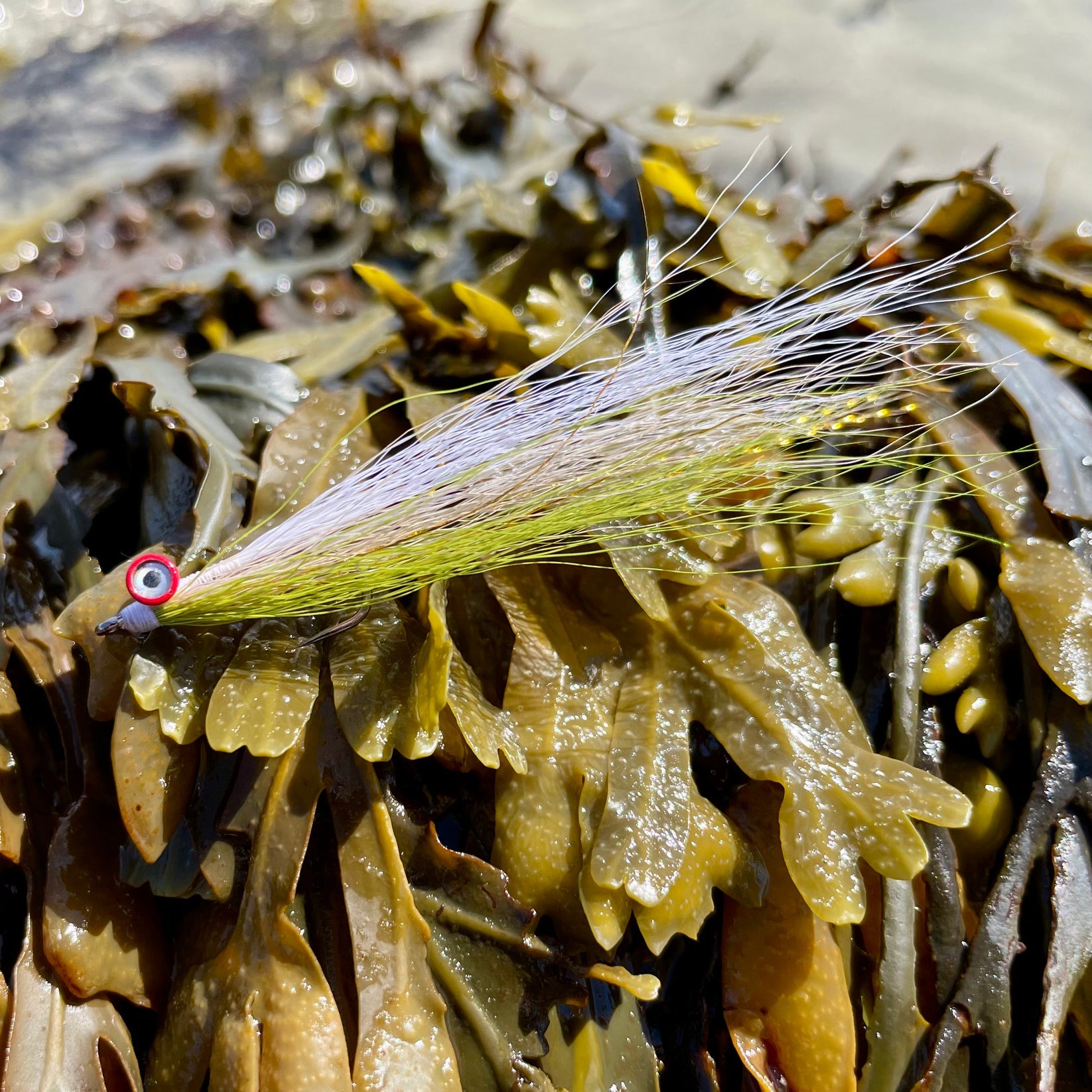 SeaFood Chowder (Striper Fly Kit)