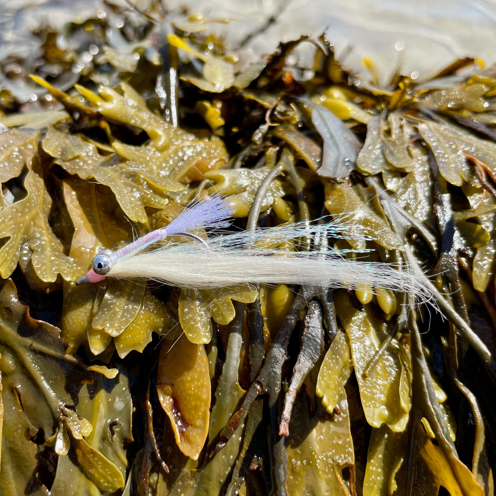 SeaFood Chowder (Striper Fly Kit)