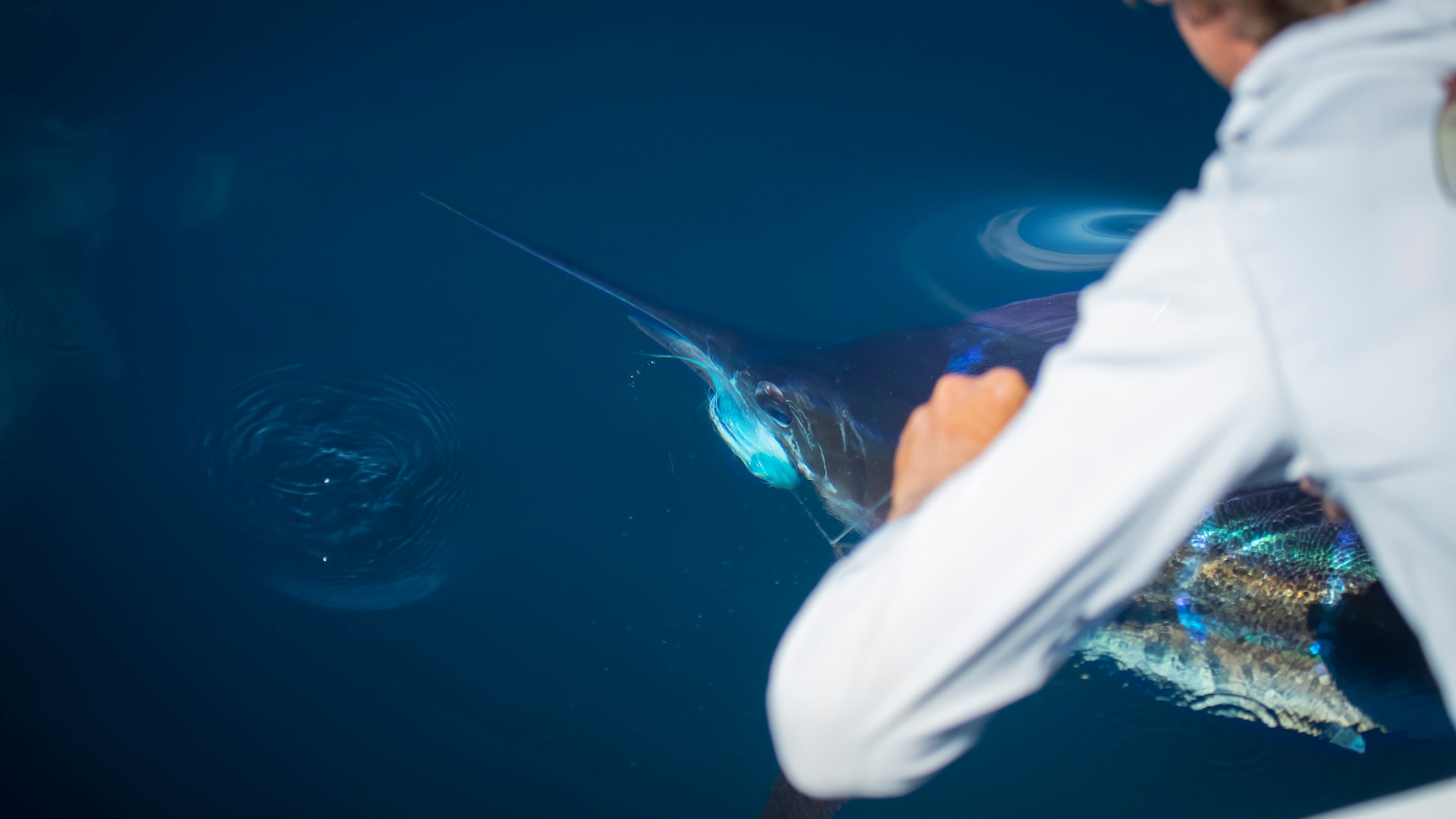 Rio Elite Leviathan Fly Line