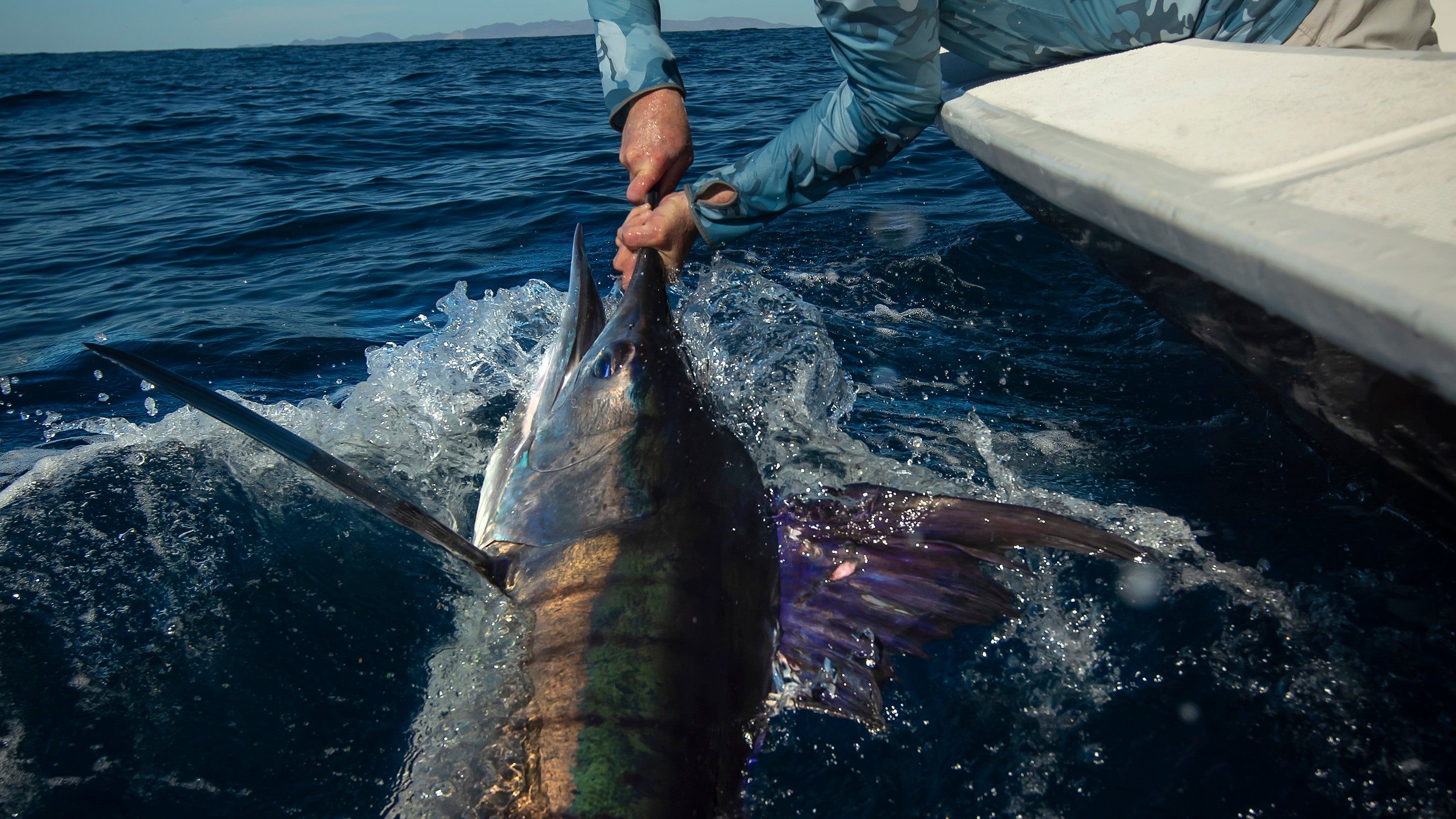 Mixing Lures and Natural Baits for Marlin Fishing