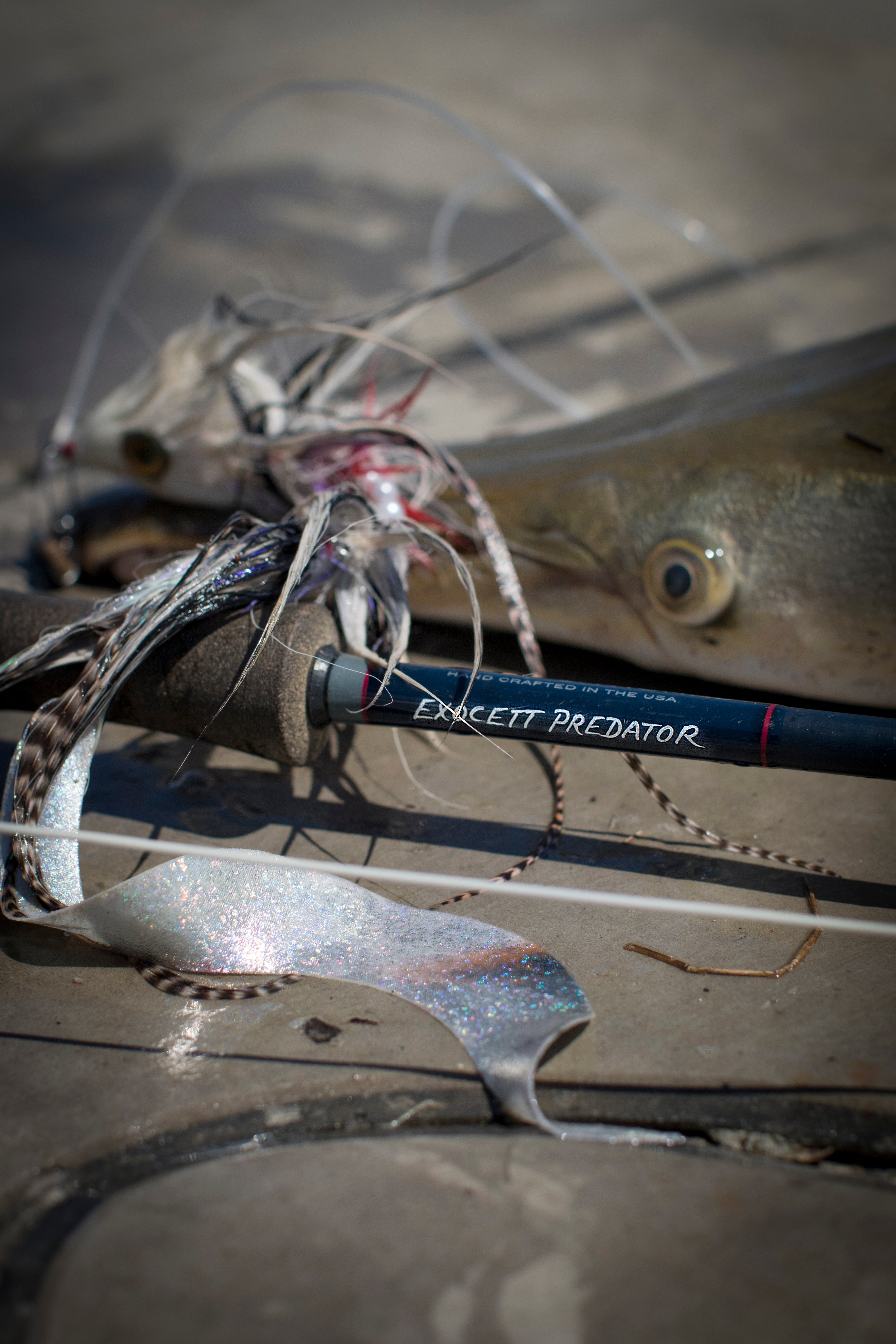 Out Fly Fishing T&T Exocett Predator Fly Rod