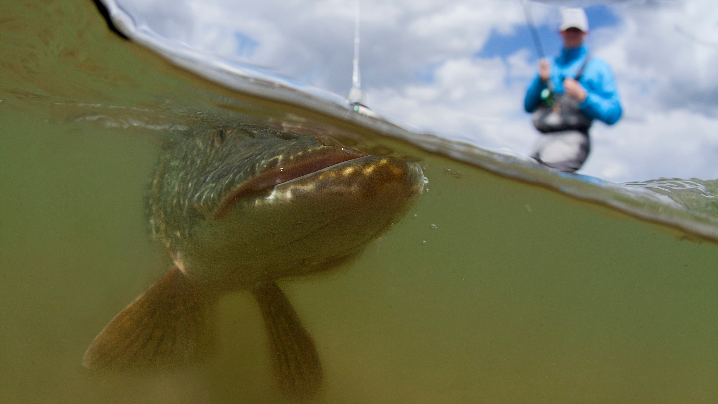 Pike on the Fly Guided Trips – Out Fly Fishing
