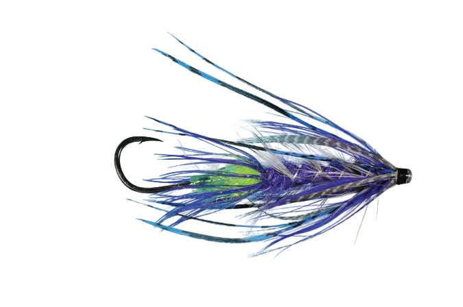 Hobit Spey