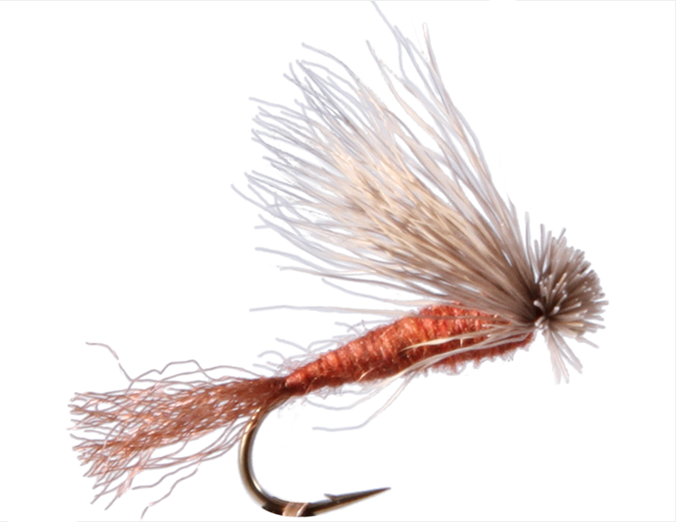 X Caddis