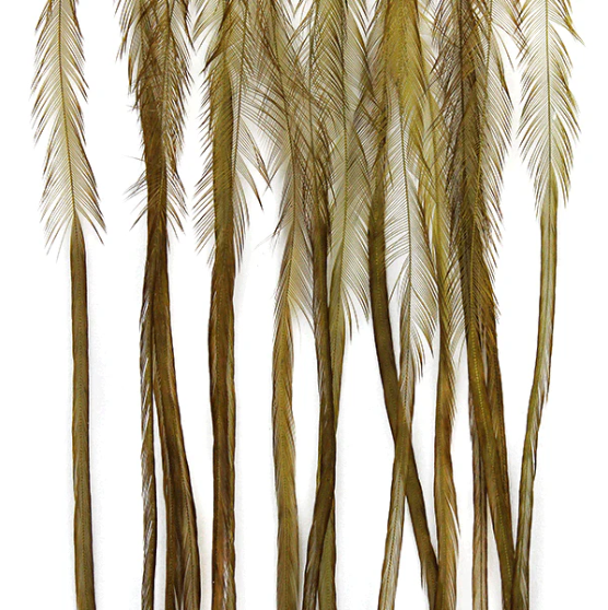 Whiting Farms 100 Pack Saddle Hackle