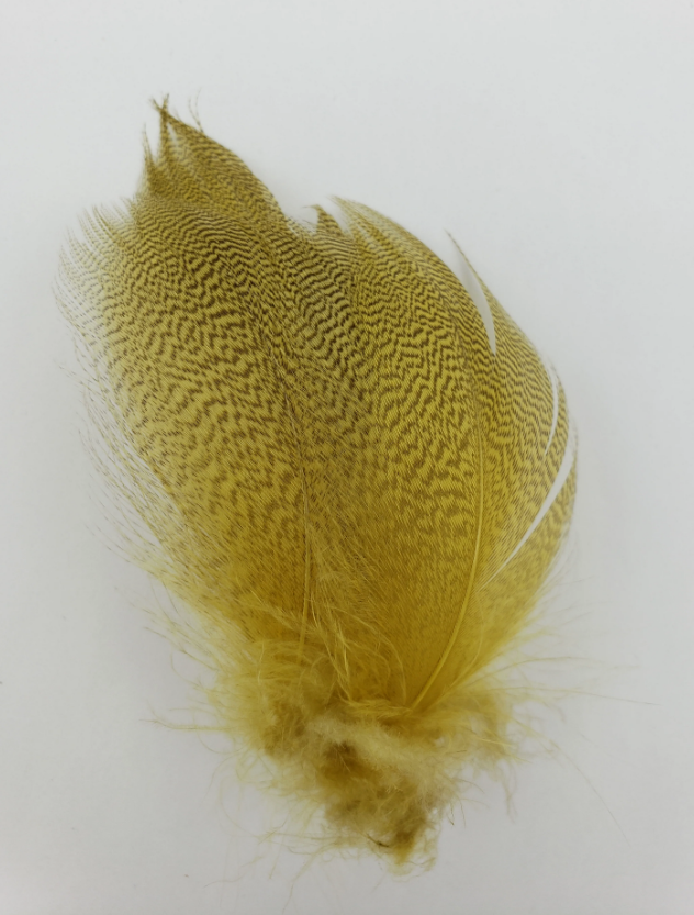 Wapsi Mallard Barred Flank Large Spey Select