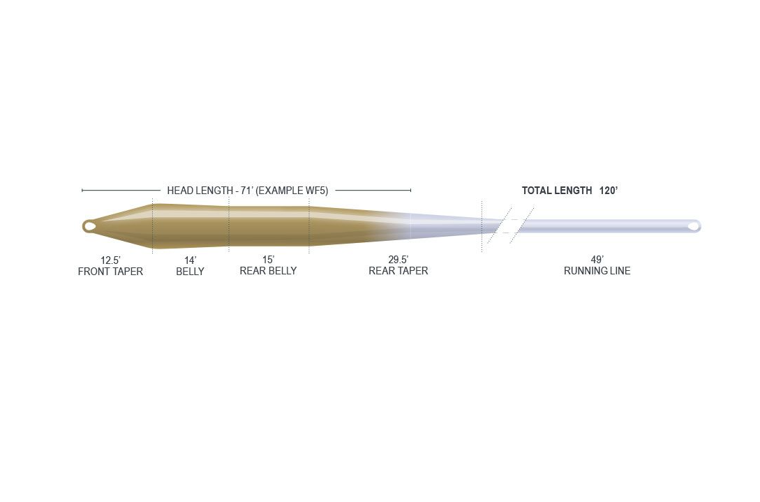 Airflo Superflo Max Ridge 2.0 - Super Trout