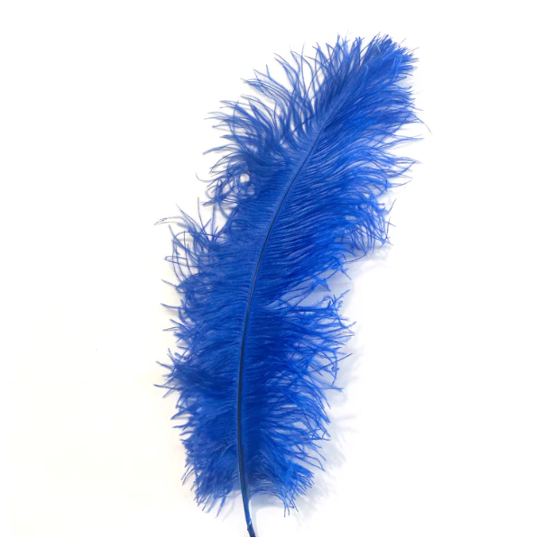 Wapsi Ostrich Plumes