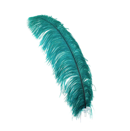 Wapsi Ostrich Plumes