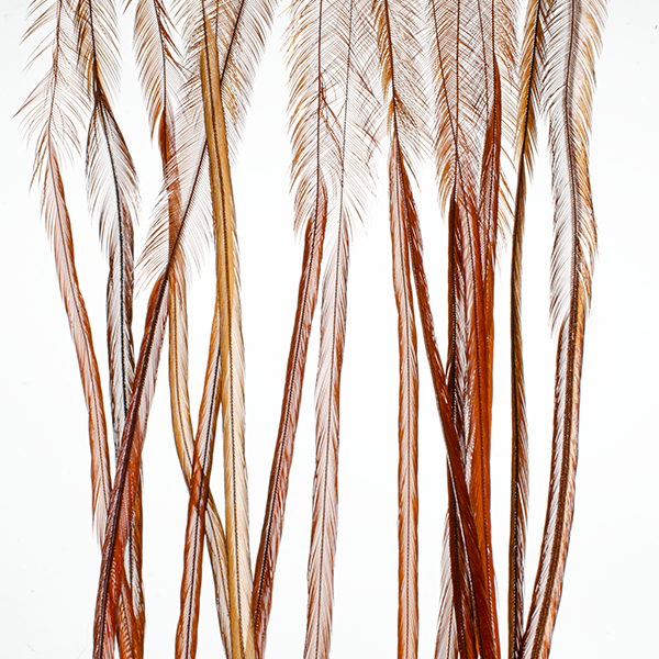 MFC Whiting 100 Pack