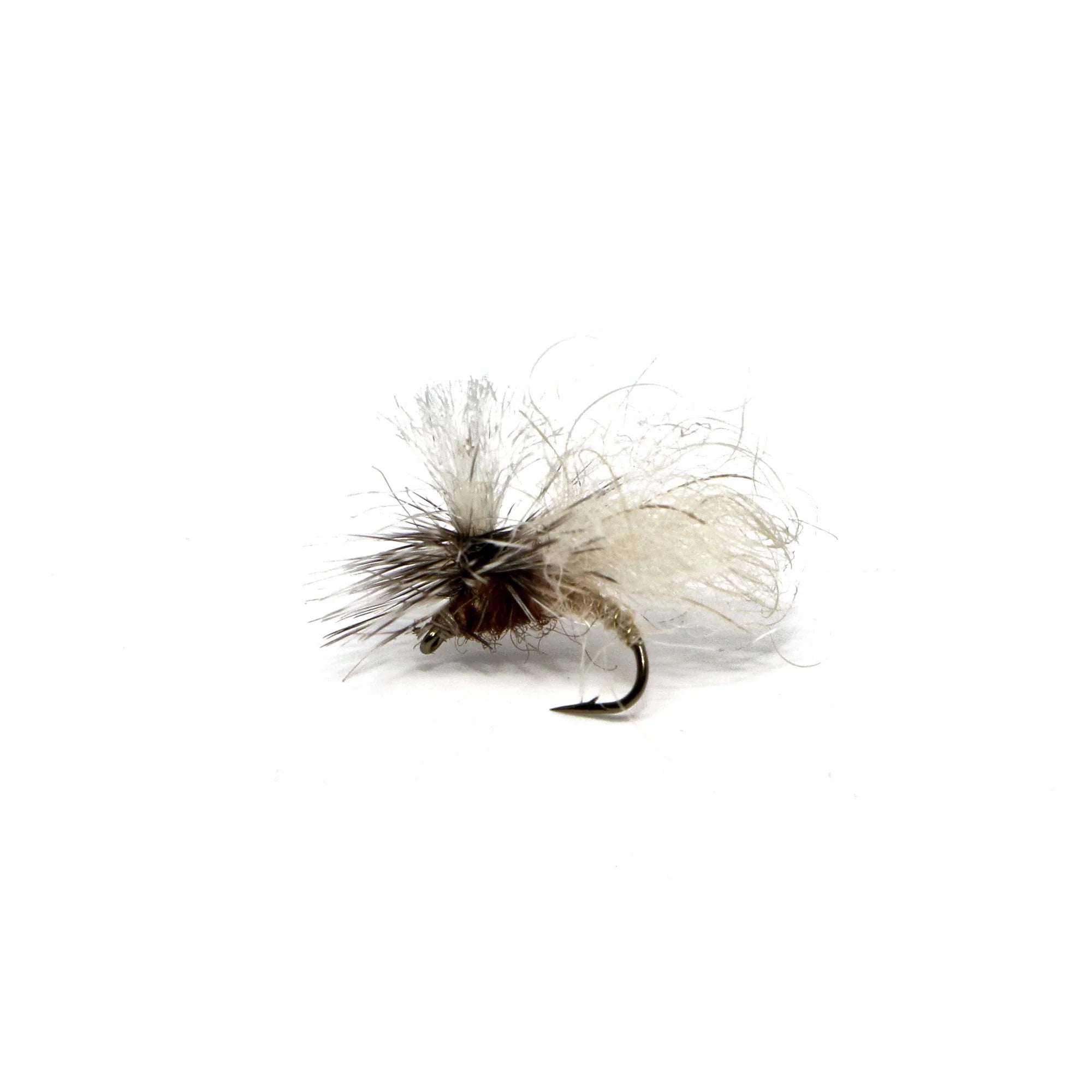 Snow Shoe Caddis