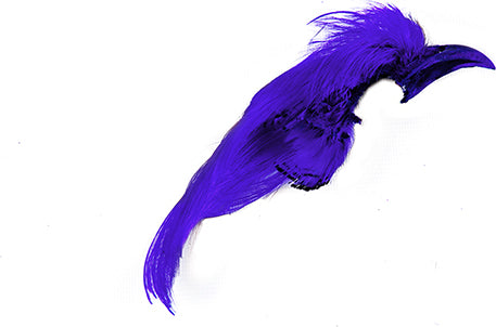 Wapsi Golden Pheasant Crest Section 2 Pack