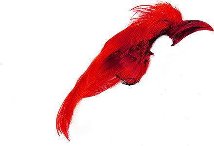 Wapsi Golden Pheasant Crest Section 2 Pack