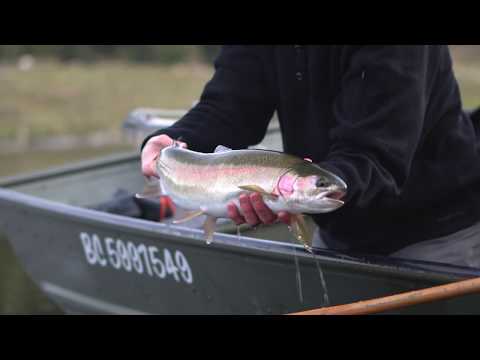 Scientific Anglers Amplitude Smooth Anadro Stillwater Indicator Fly Line