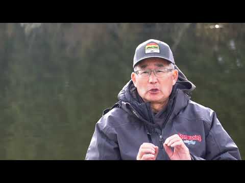 Scientific Anglers - Amplitude Textured Infinity Fly Line