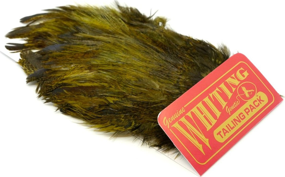 Whiting Coq De Leon Tailing Pack