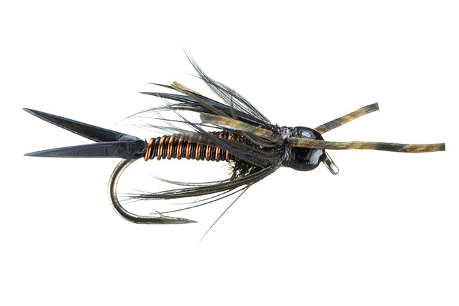 Trina's Montana Prince (all colors)