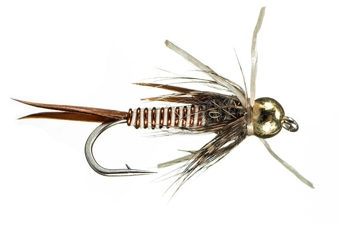 Trina's Montana Prince (all colors)