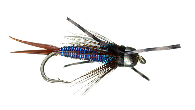Trina's Montana Prince (all colors)