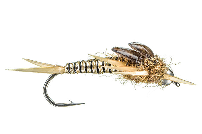 Copperback Stone (all colors)