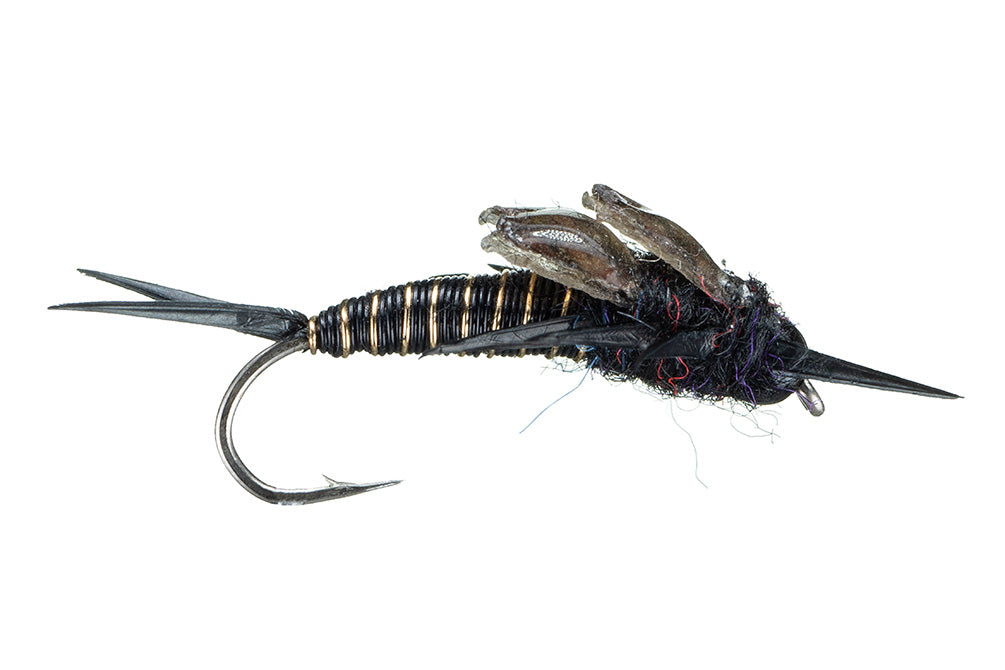 Copperback Stone (all colors)