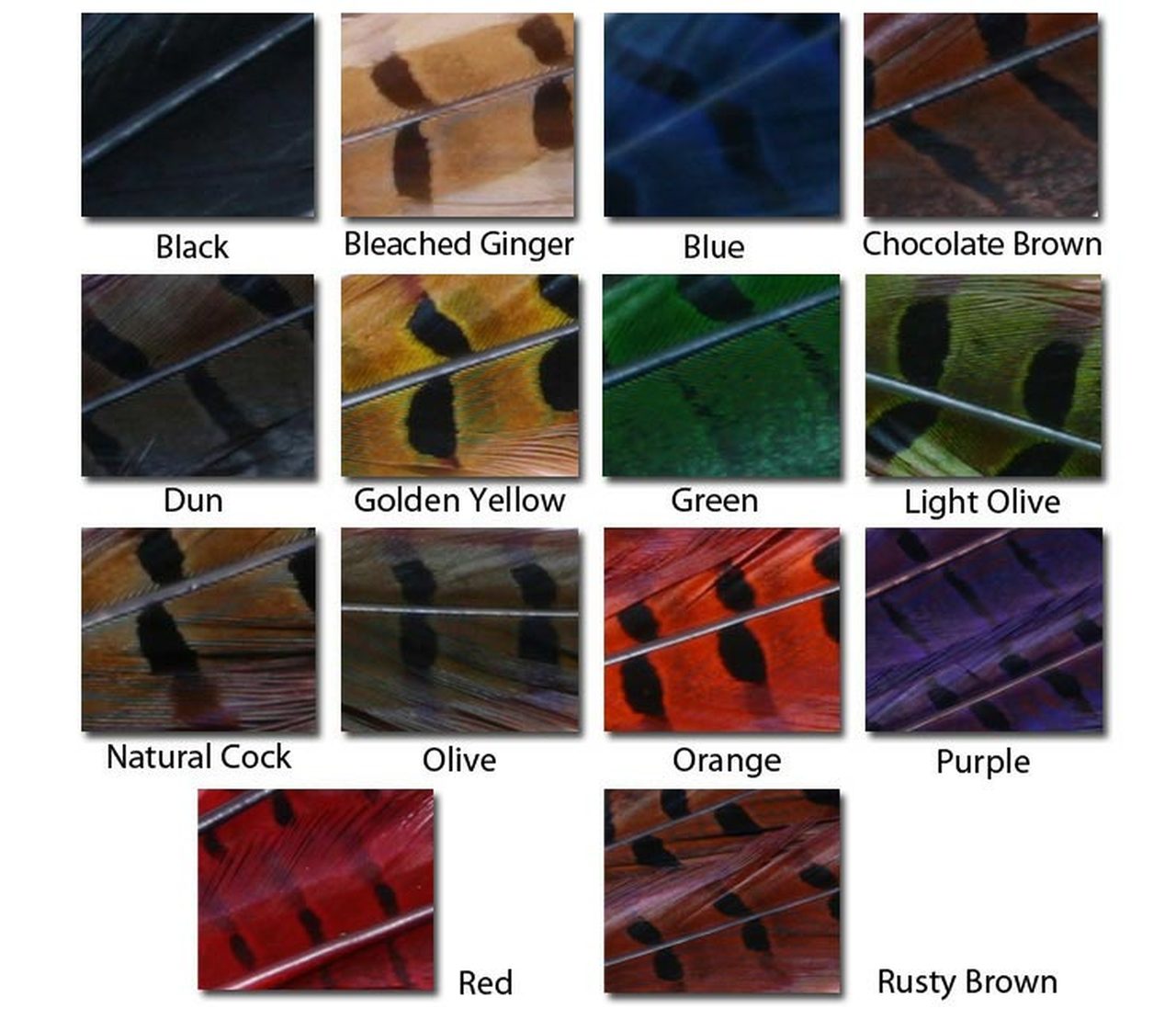Wapsi Dyed Ringneck Tail Feathers - Pair