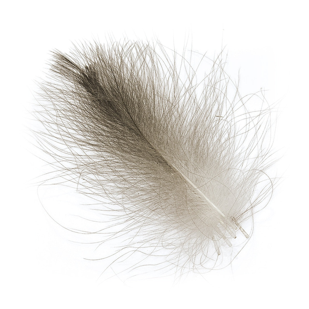 Wapsi CDC Feathers