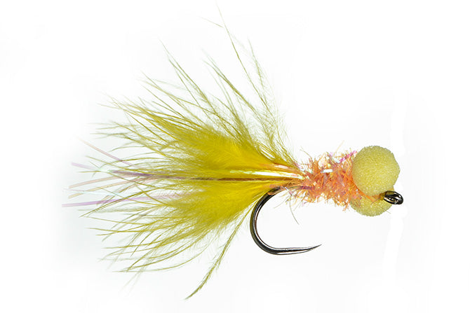 Chan Las Vegas Booby Leech: all colors