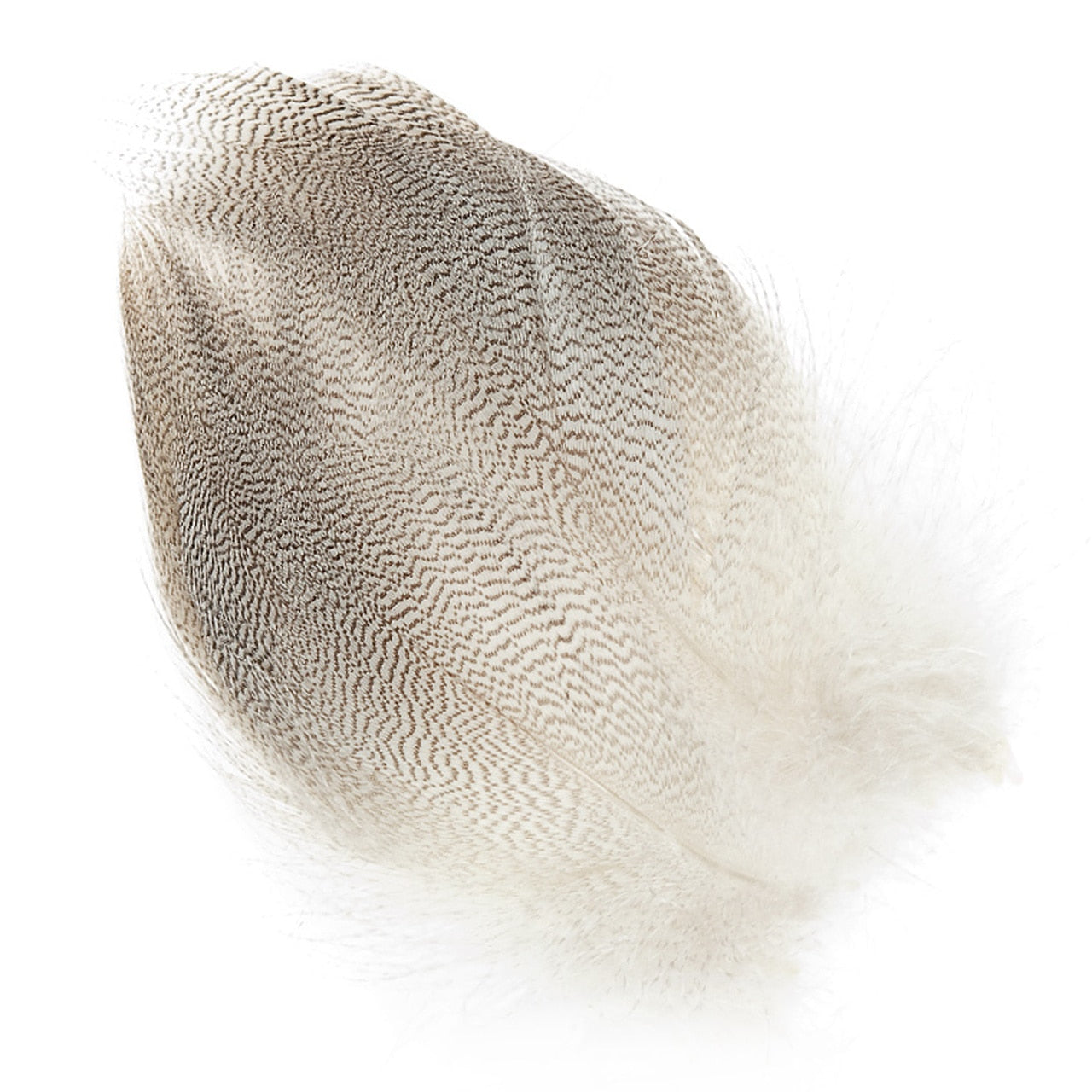 Wapsi Mallard Barred Flank Large Spey Select