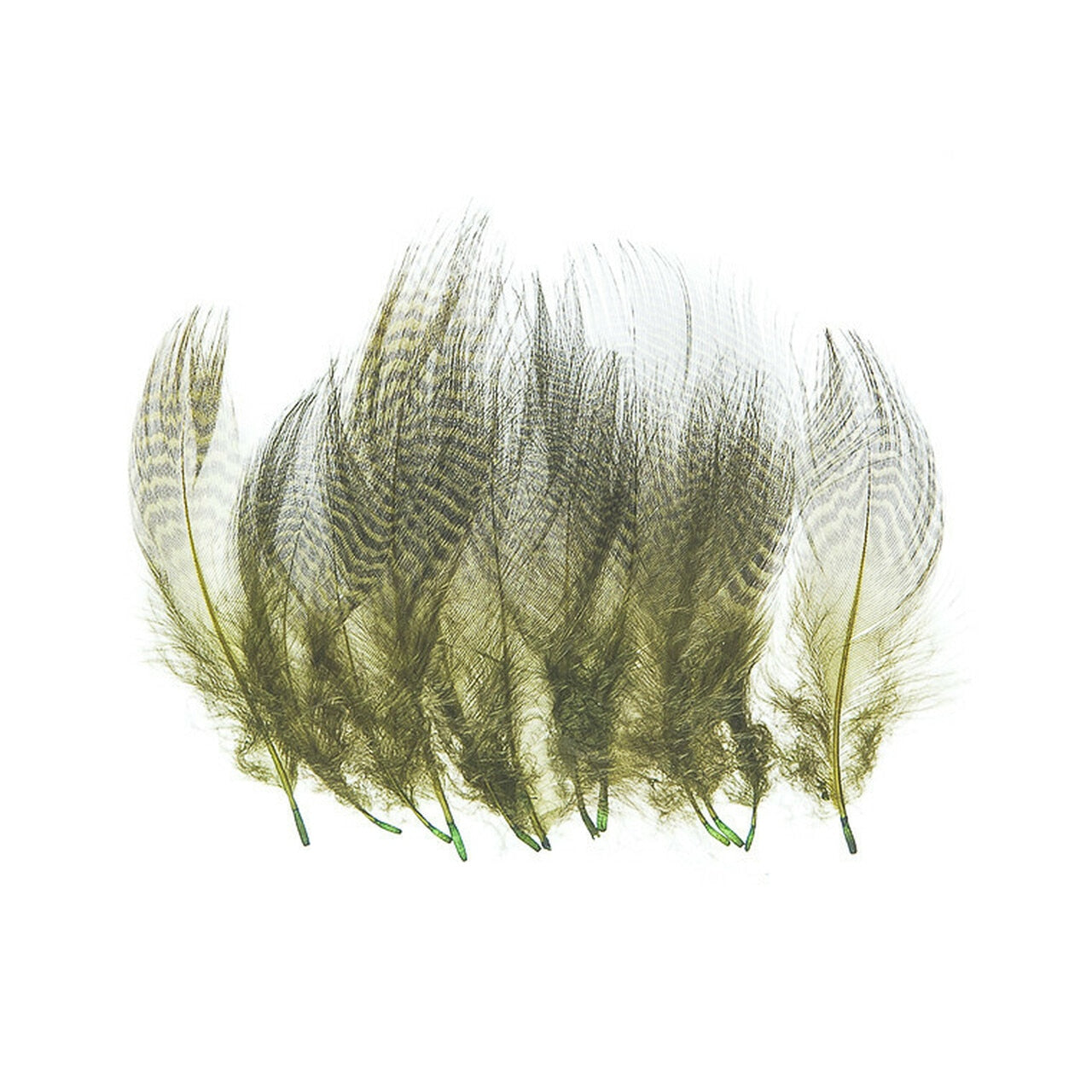 Wapsi Teal Barred Flank