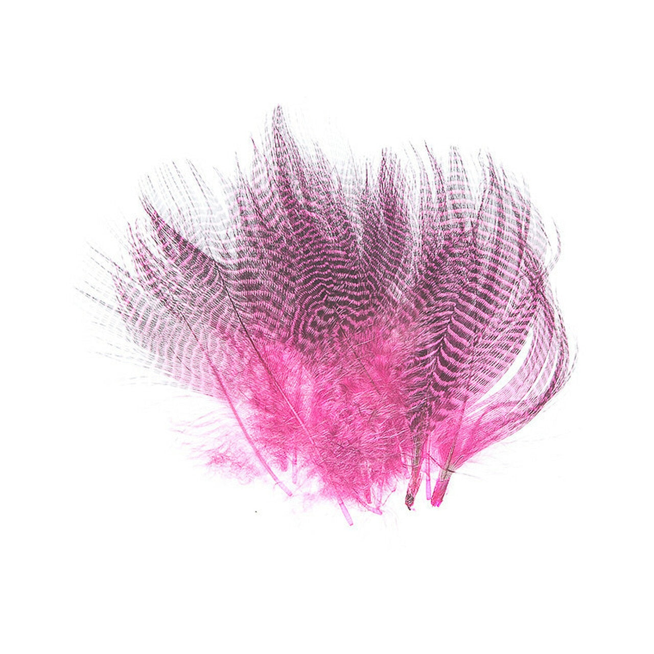 Wapsi Teal Barred Flank