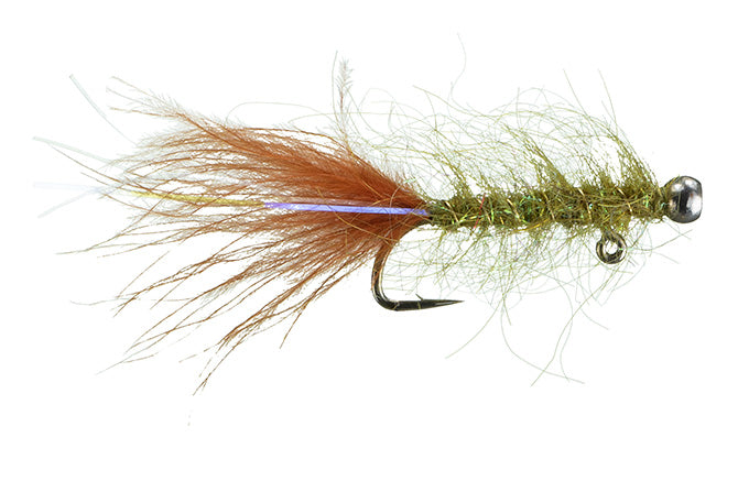 Rowley's Balanced Leech: all colors