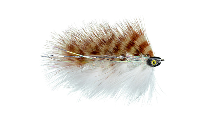 Galloup Barely Legal (Fish Skull): all colors
