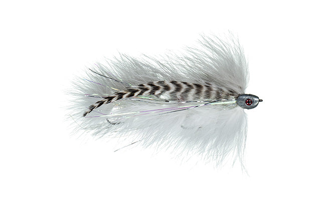 Galloup Barely Legal (Fish Skull): all colors