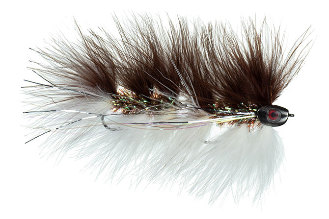 Galloup Barely Legal (Fish Skull): all colors