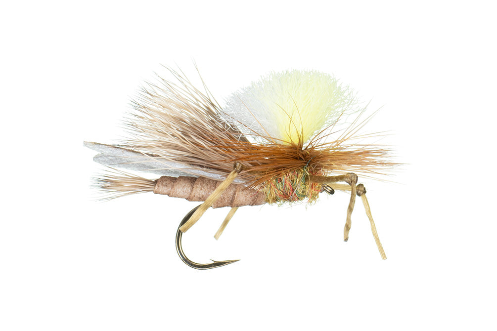 Trina's Carnage Attractor Stone (all colors)