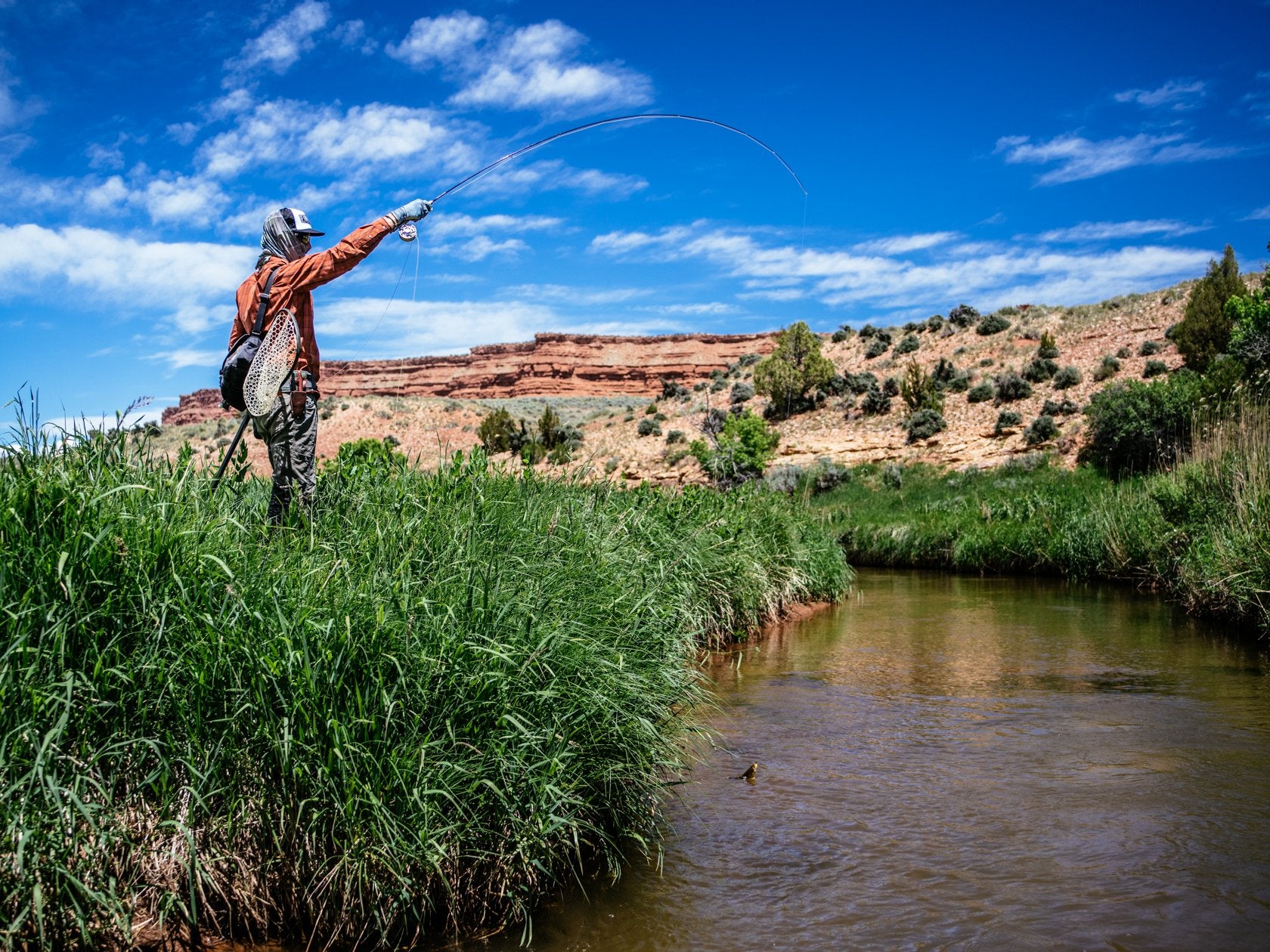 Thomas & Thomas Lotic Fly Rod
