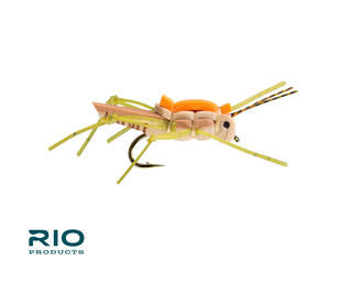 Rio's Juicy Hopper