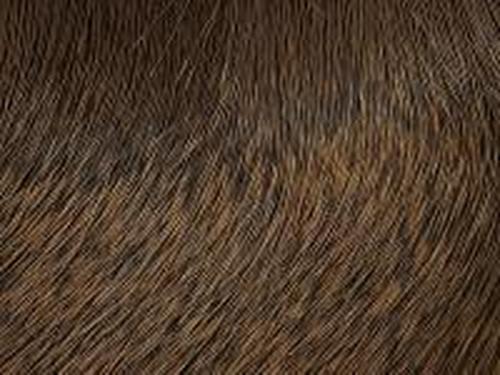 Wapsi Deer Hair