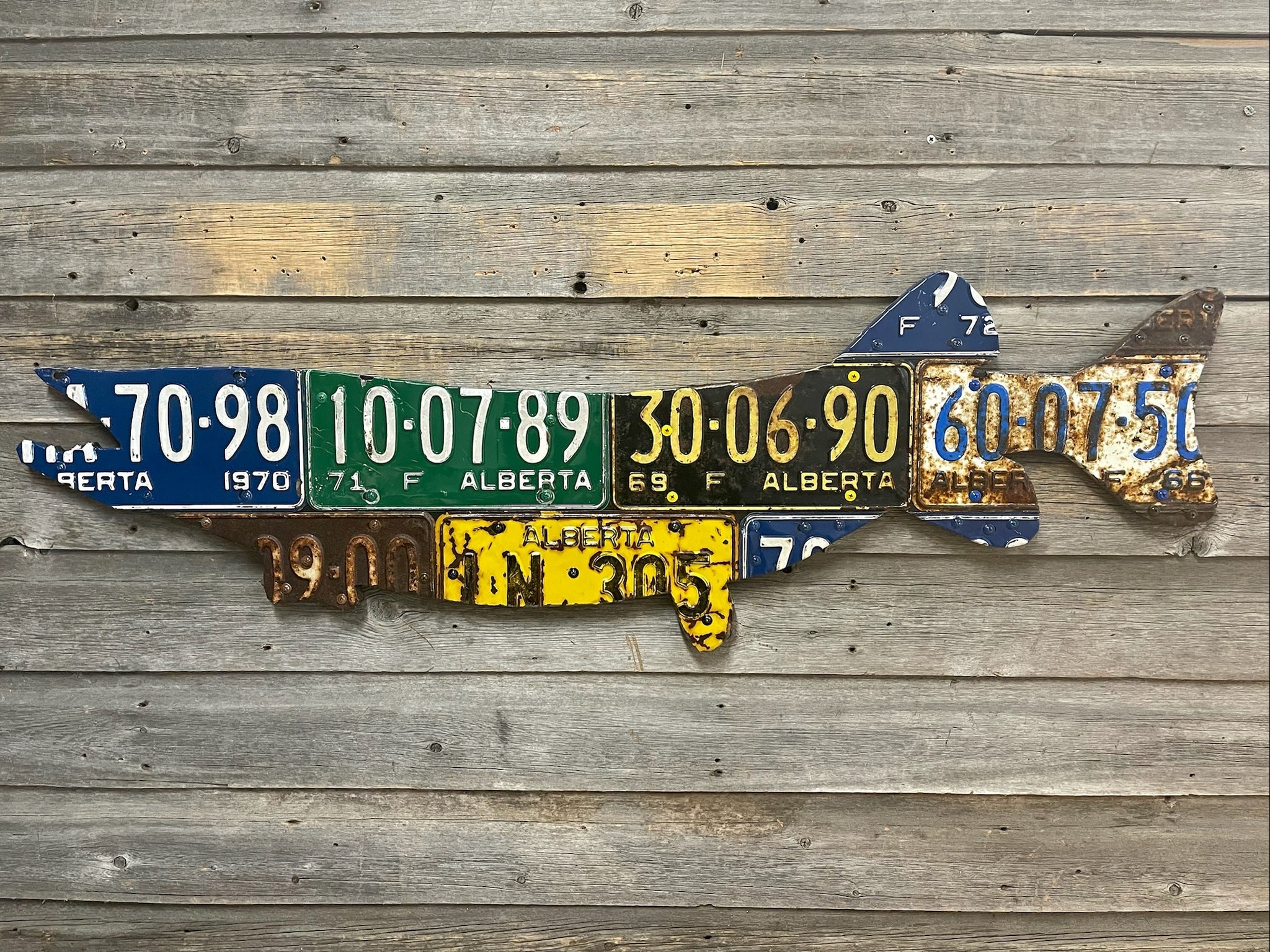 Cody's Alberta License Plate Pike