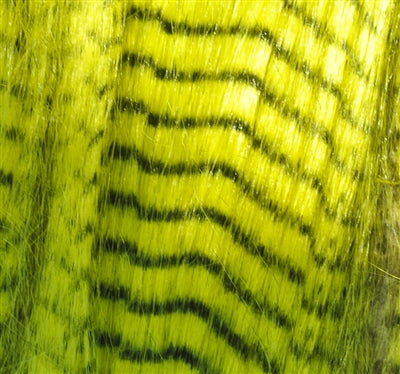 Grizzly Hair