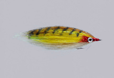 Rainy's Flies - CF Baitfish (all colors)
