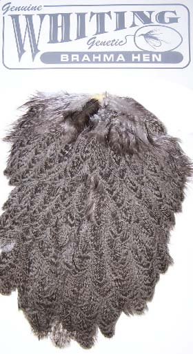 Whiting Brahma Hen Saddle