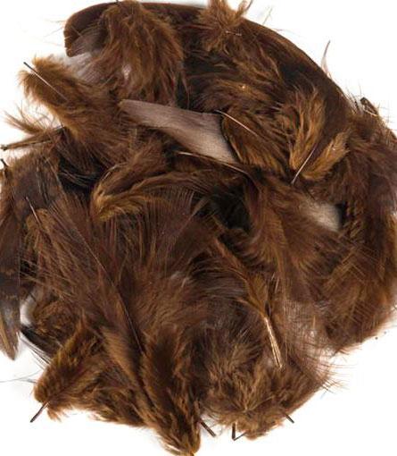 Partridge Feathers